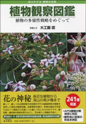 植物觀察圖鑑 植物の多樣性戰略をめぐって