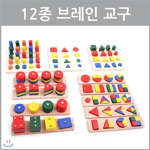 12종브레인교구