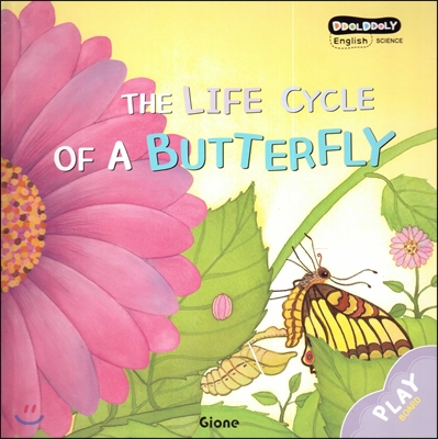 THE LIFE CYCLE OF A BUTTERFLY