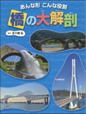 あんな形こんな役割 橋の大解剖