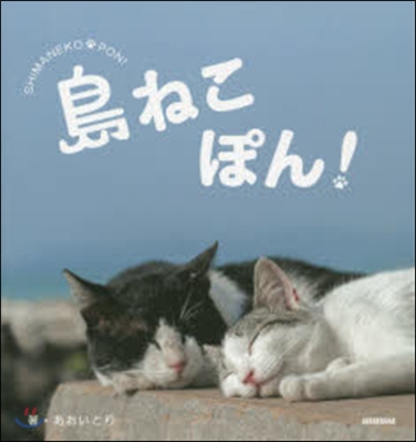 島ねこぽん!