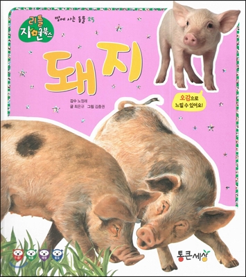 돼지 (땅에사는동물) 