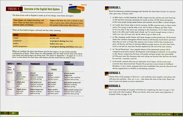 Grammar Dimensions 3 : Form, Meaning, Use (Student's Book)