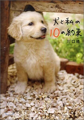 犬と私の10の約束