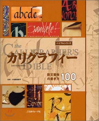 カリグラフィ- 歐文書體の書き方100