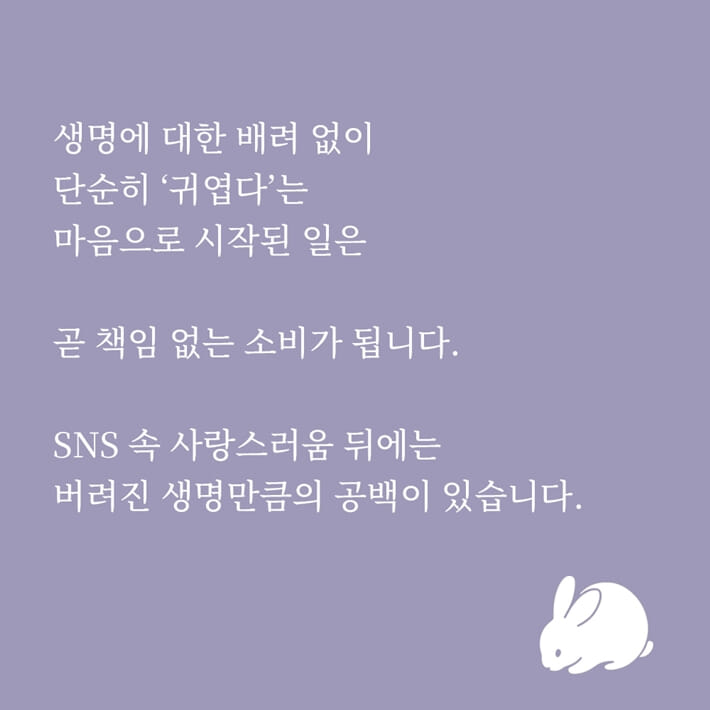 카드뉴스3