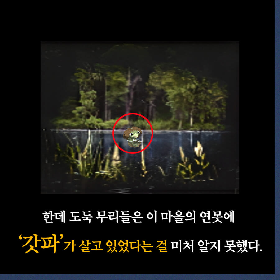 카드뉴스