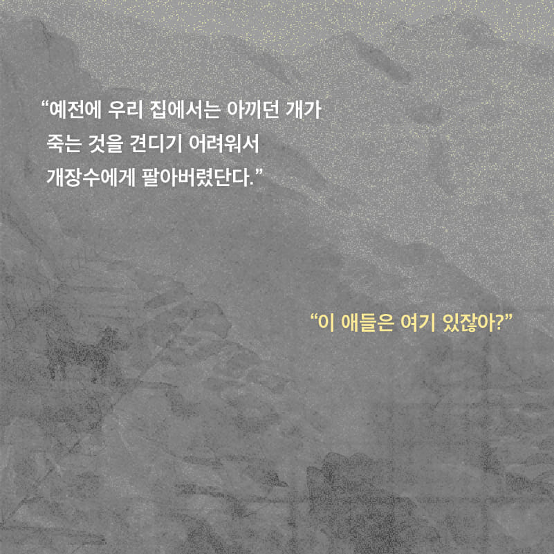 카드뉴스
