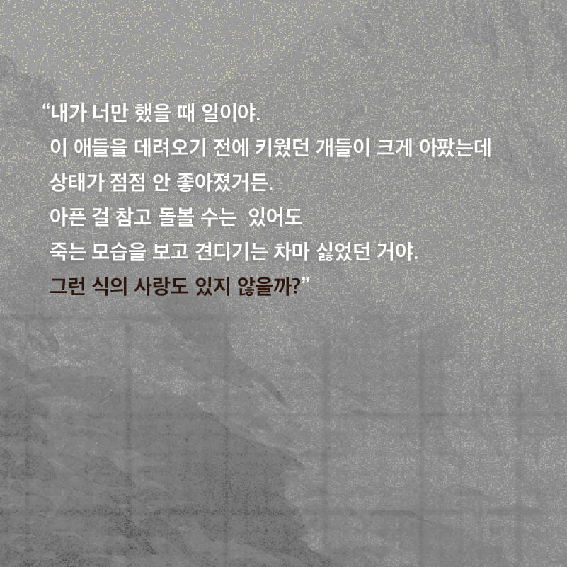 카드뉴스