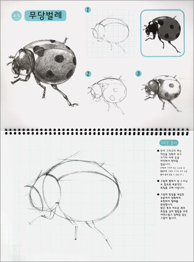 쉽고 재미있는 동식물 스케치