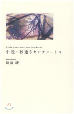 小說 秒速5センチメ-トル