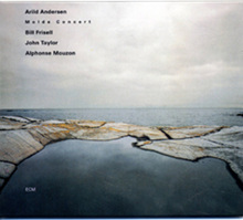 Arild Andersen - Molde Concert