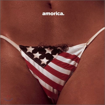 Black Crowes - Amorica