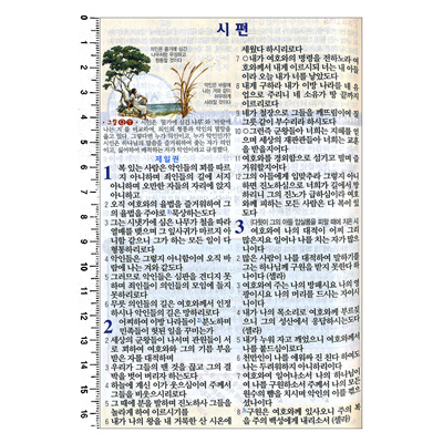 좋은성경 개역개정4판 새찬송가 (소/합본/색인/이태리 최고급 표지/지퍼)(13*19)(자주)