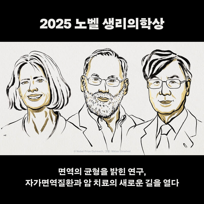 카드뉴스3