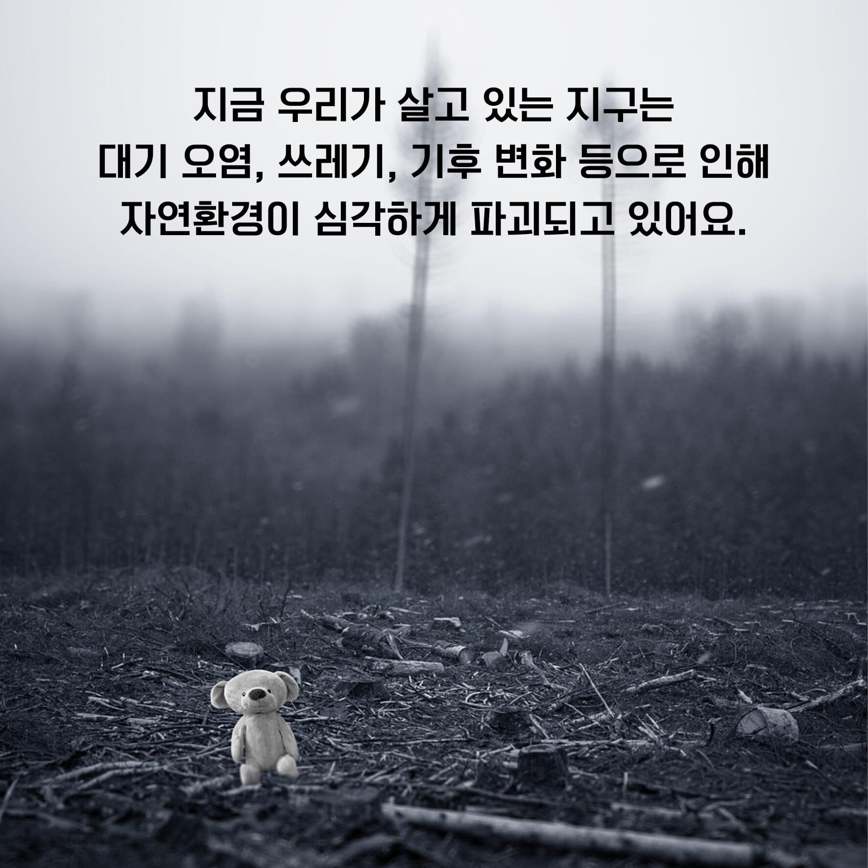 카드뉴스1