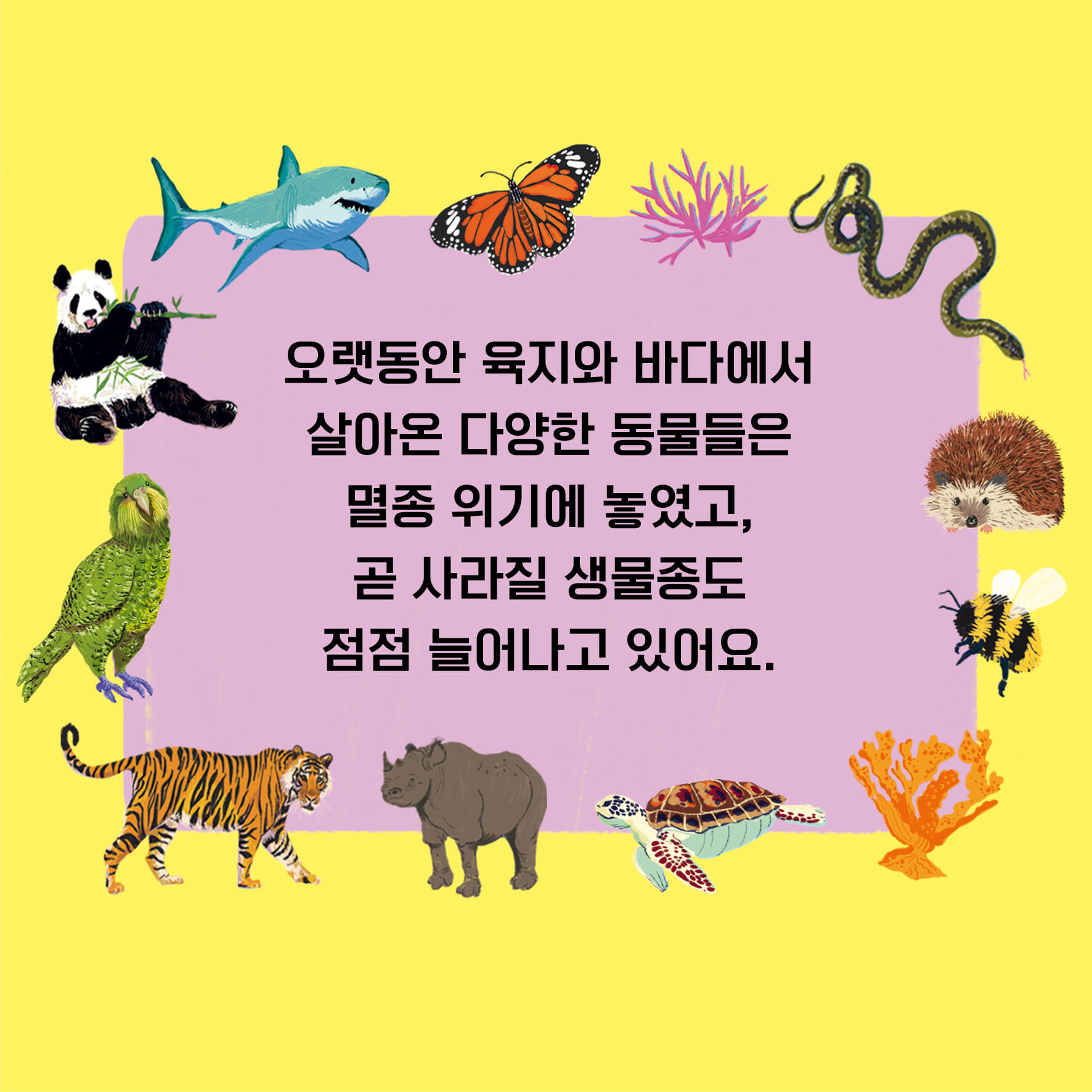 카드뉴스2