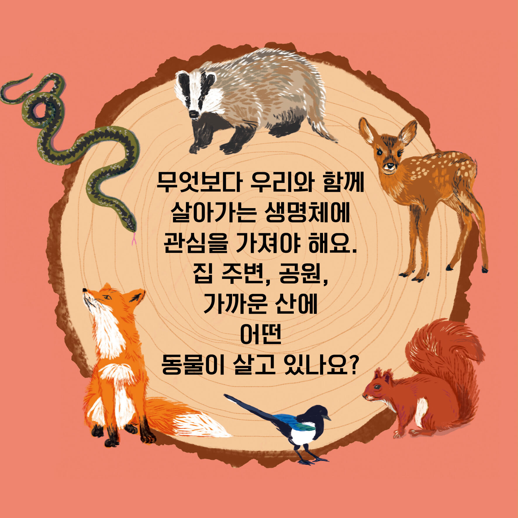 카드뉴스5