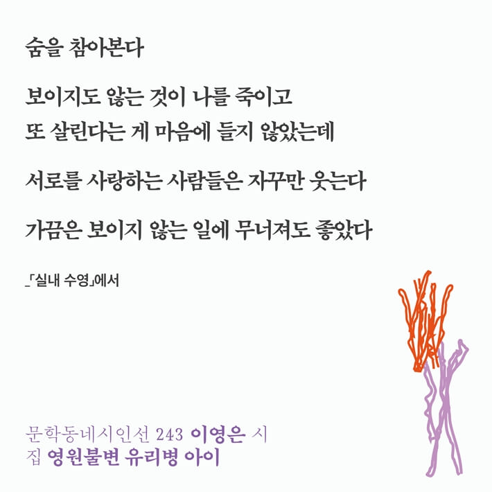 카드뉴스8