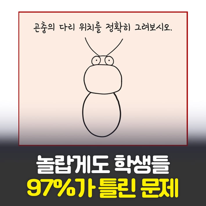 카드뉴스1