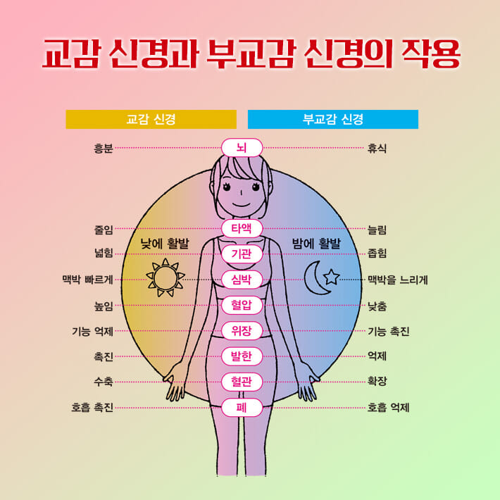 카드뉴스12