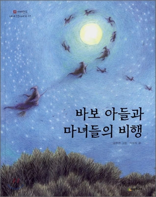 바보 아들과 마녀들의 비행