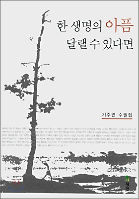 한 생명의 아픔 달랠 수 있다면