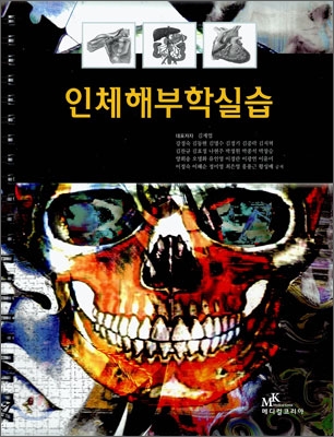 인체해부학실습