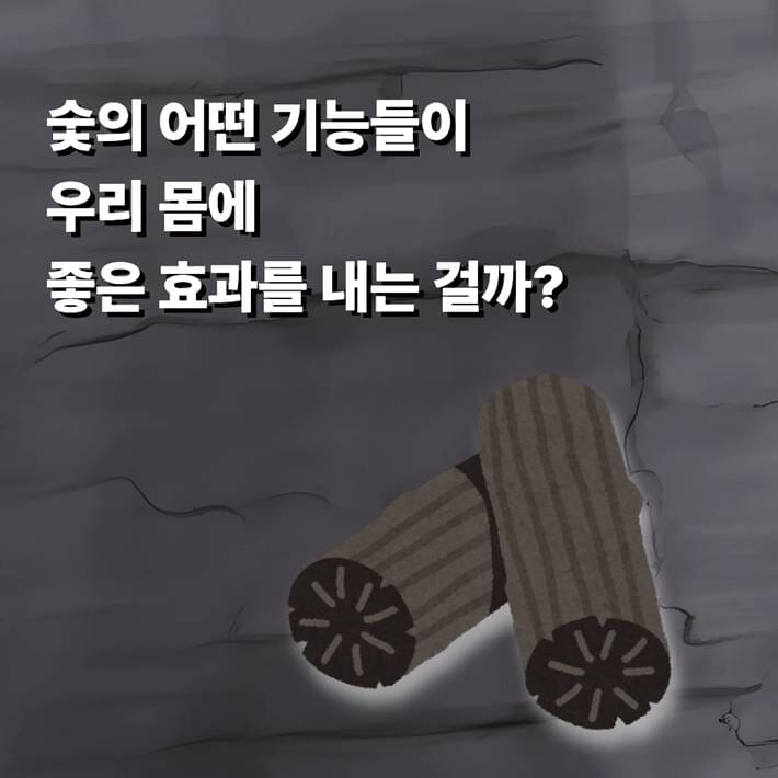 카드뉴스5