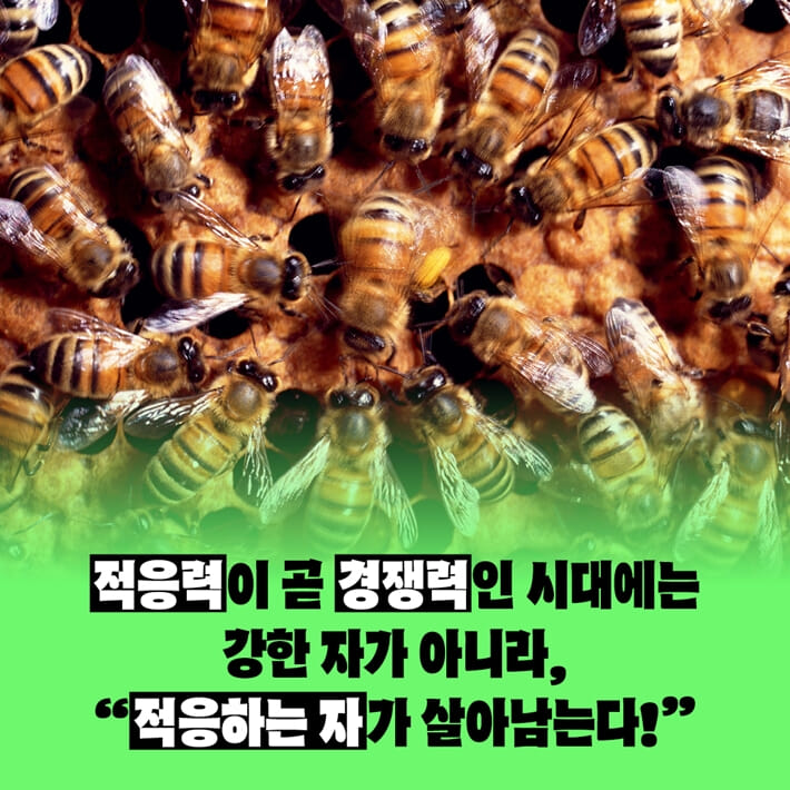 카드뉴스1