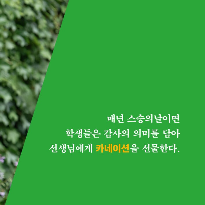 카드뉴스2