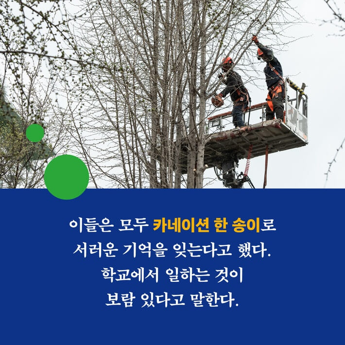 카드뉴스8