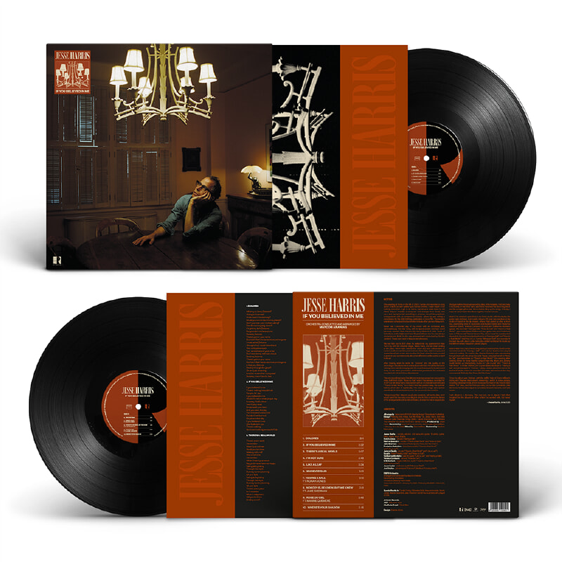 Jesse Harris (제시 해리스) - If You Believed in Me [LP]