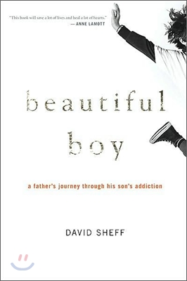 Beautiful Boy (Hardcover)