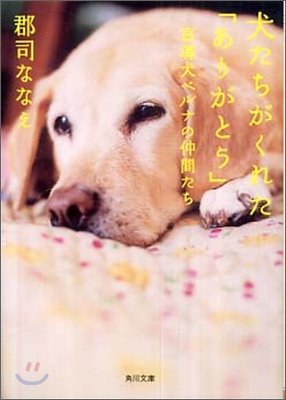 犬たちがくれた「ありがとう」