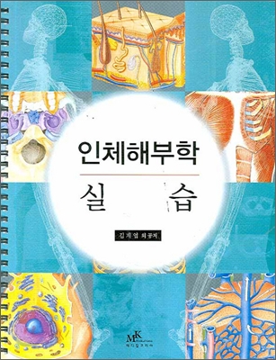 인체해부학 실습