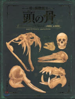 骨の博物館(2)頭の骨