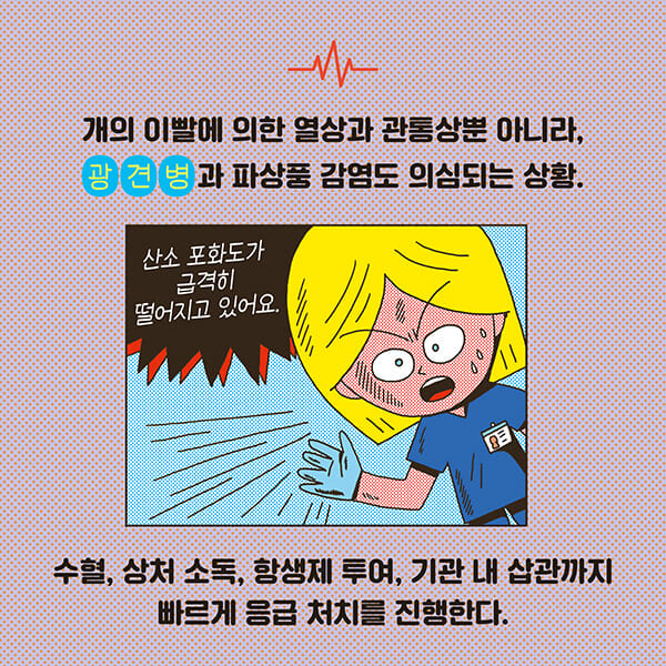카드뉴스3