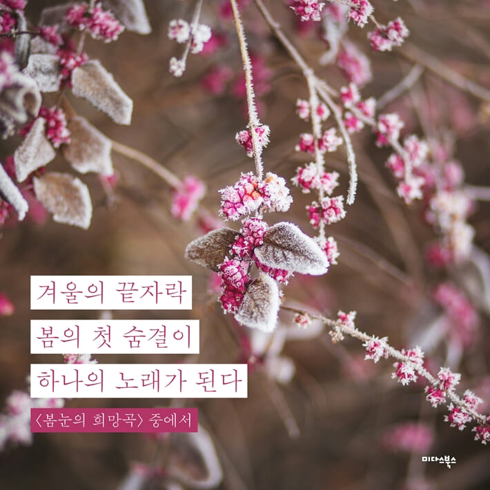 카드뉴스1