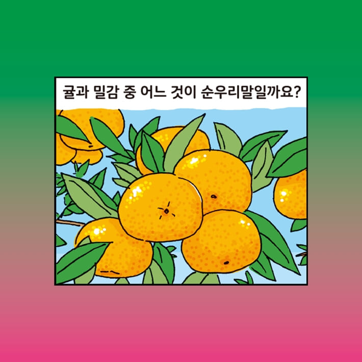 카드뉴스6