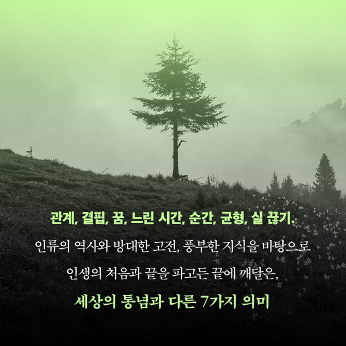카드뉴스4