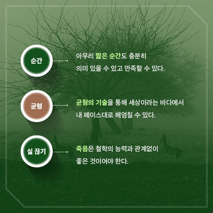카드뉴스6