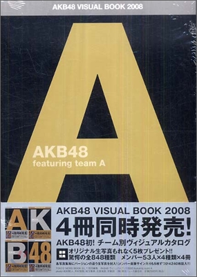AKB48 VISUAL BOOK featuring team A