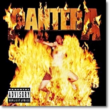Pantera - Reinventing The Steel (미개봉)
