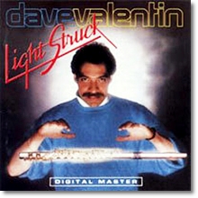 Dave Valentin - Light Struck (수입)