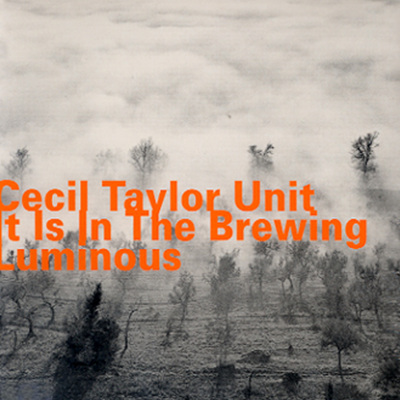 Cecil Taylor Unit - It Is In The Brewing Luminous - 예스24