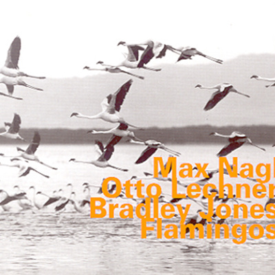 Max Nagl &amp; Otto Lechner &amp; Bradley Jones - Flamingos