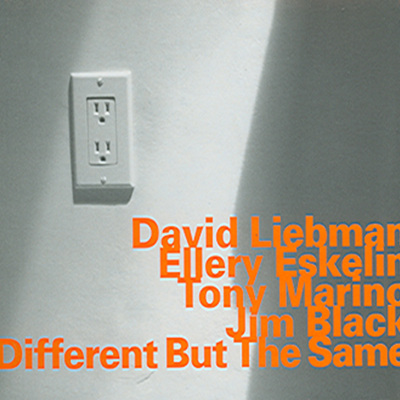 David Liebman &amp; Ellery Eskelin - Different But The Same