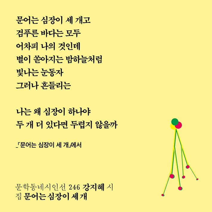 카드뉴스3