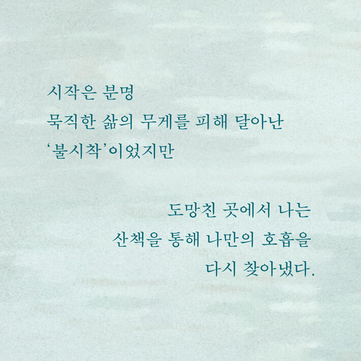 카드뉴스3